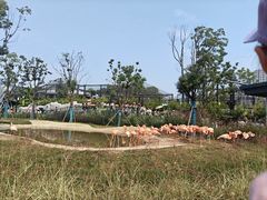 -武汉动物园