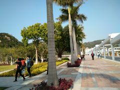 -厦门国家会计学院