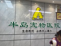 -半岛宠物医院24小时(西派城店)