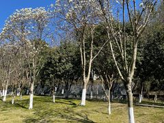 -宁波柏悦酒店·钱湖渔港
