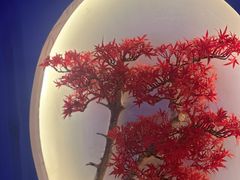 -大桶大足浴(瞿溪路店)