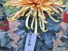 -北京植物园南门售票处