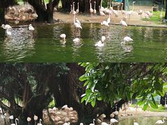 -九龙公园