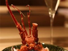 -炎橘·板前料理 Omakase