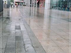 -素满香·素食自助餐(西安·民乐园店)