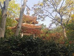 -赭山公园