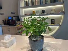 -不晚酒店(苏州观前平江路店)