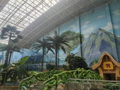 -望儿山温泉水乐园