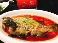 海南老虎斑-徐记海鲜(大明宫|北二环店)