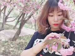 -石家庄市植物园