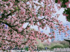 -元大都城垣遗址公园