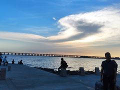 -宝安西湾红树林湿地公园