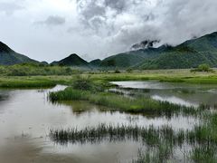 -大九湖
