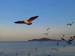 -幸福公园-海滨北路停车场