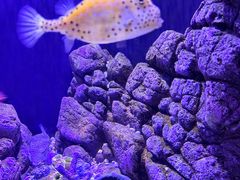 -成都浩海立方海洋公园