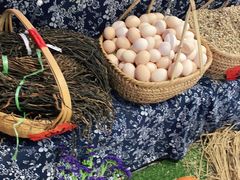 -老阿爸江浙土菜(奥体中心店)