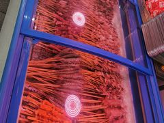 -沈阳市二台子清真牛羊屠宰厂