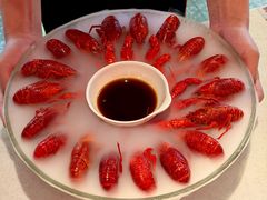 -红盔甲·小龙虾(天钥桥店)