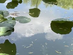 -团结湖公园