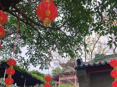 -顺峰山公园