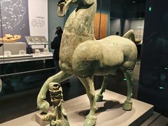 -广西壮族自治区博物馆