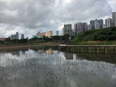 -龙环葡韵住宅式博物馆