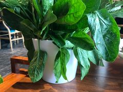 -川味火锅(牛塘店)