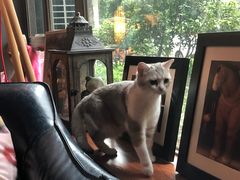 -咖法森林·咖啡  酒吧(天河店)