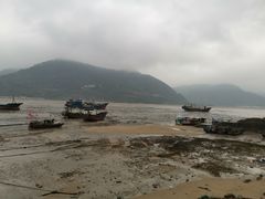 -北岐滩涂