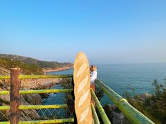 -广东惠东海龟国家级自然保护区