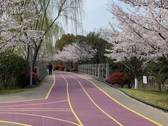 -尚贤河湿地