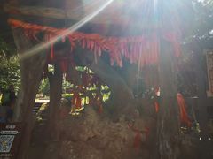 -窦圌山风景区