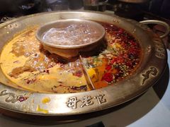 -新哥老官·畅吃123·美蛙世界(苏宁广场店)