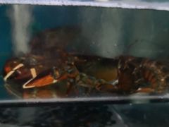 -石塘路海鲜市场(草厂中路店)