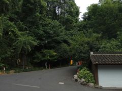 -龙井村