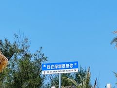 -西涌国际滨海旅游区