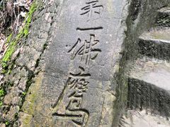 -大金鹰园