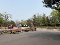 -白水寺森林公园
