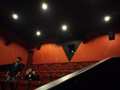 -万达影城(汉街万达广场IMAX店)