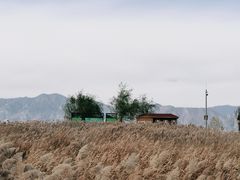 -野鸭湖国家湿地公园
