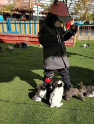 -萌宠亲子动物乐园(槐房万达店)