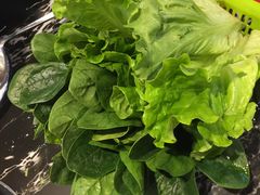 蔬菜拼盘-古乐牛香·鲜牛肉牛杂火锅(解放东路店)