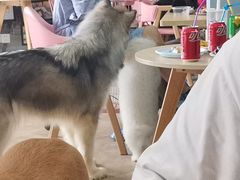 -汪说·狗咖(旺城大厦店)