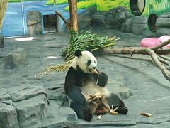 -秦皇岛野生动物园