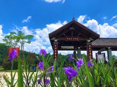 -广州白江湖森林公园