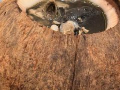 -海宝酒家(中山四路店)