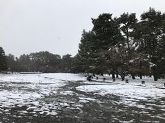 -京都御所