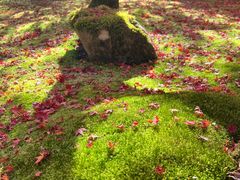 -西芳寺(苔寺)