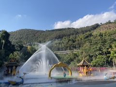 -西双版纳原始森林公园