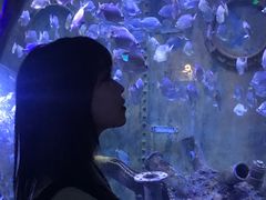 -成都浩海立方海洋公园